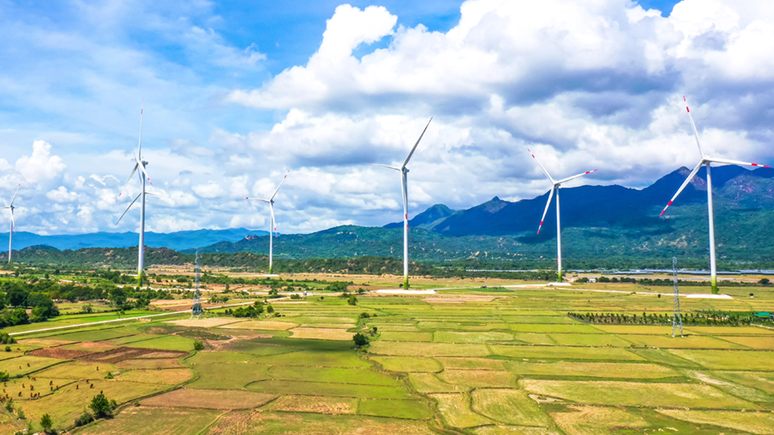 Wind Power Project No. 5 Ninh Thuan